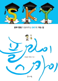 플라이 스카이